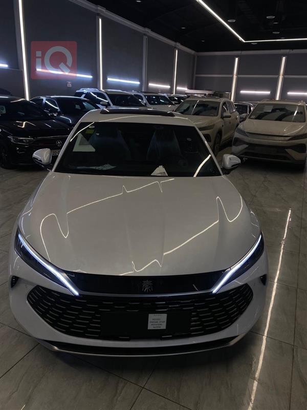 بي واي دي كوين L DM-i 2025 للبيع في العراق - اربيل